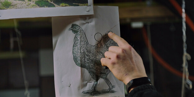 Filmstill des polnischen Kurzfilms "Pazur" von Martha Z. Nowak. Man sieht die Zeichnung eines Huhnsn