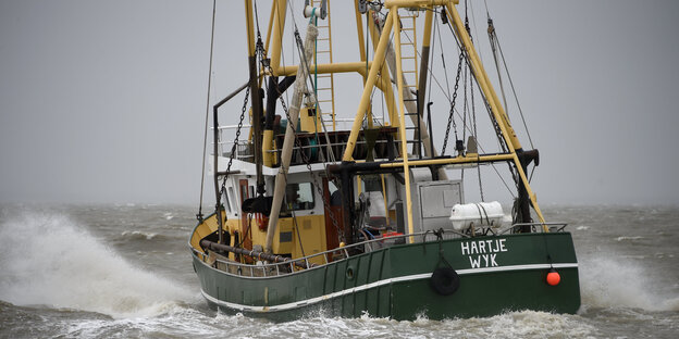 Ein Fischkutter schlägt hohe Wellen auf dem Meer