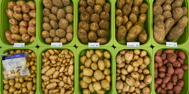 Kartoffeln in einem Supermarkt Kartoffeln in einem Supermarkt