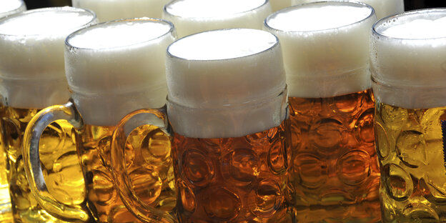 mehrere gefüllte Bierkrüge mehrere gefüllte Bierkrüge