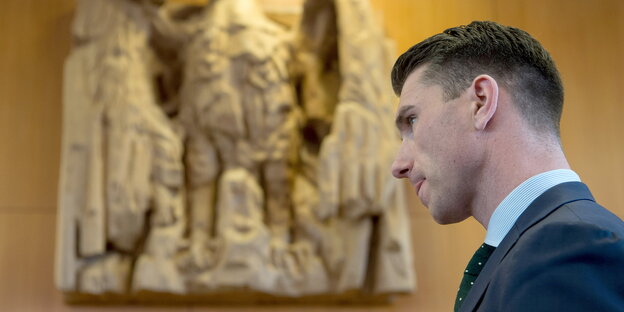 ein Mann im Anzug vor einem steinernen Adlerrelief ein Mann im Anzug vor einem steinernen Adlerrelief