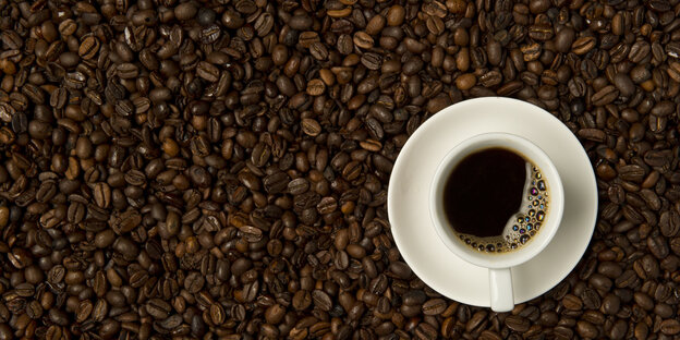 EIne Tasse Kaffee steht auf viele Kaffeebohnen EIne Tasse Kaffee steht auf viele Kaffeebohnen