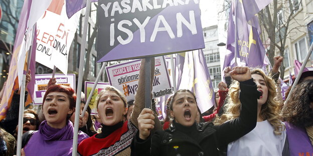 Frauen gröhlen mit Schildern auf einer Demonstration Frauen gröhlen mit Schildern auf einer Demonstration