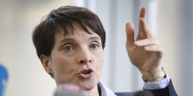 Frauke Petry gestikuliert auf einer Pressekonferenz Frauke Petry gestikuliert auf einer Pressekonferenz
