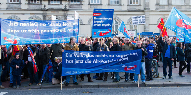 AfD-Demo in Hamburg AfD-Demo in Hamburg