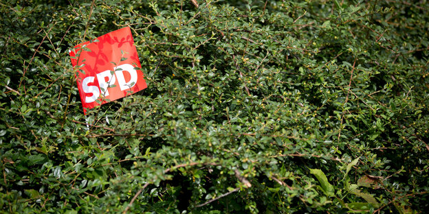 eine rote Flagge mit der Aufschrift SPD hängt in einem Busch eine rote Flagge mit der Aufschrift SPD hängt in einem Busch