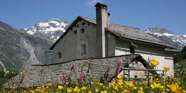 Haus mit Giebeldach vor Bergkulisse mit blühenden Blumen davor Haus mit Giebeldach vor Bergkulisse mit blühenden Blumen davor