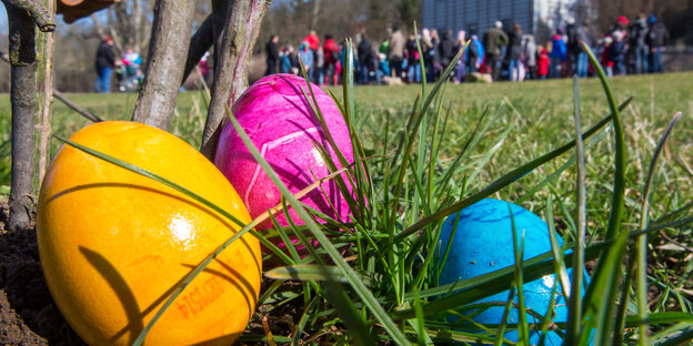 Bunte Eier auf der Wiese Bunte Eier auf der Wiese