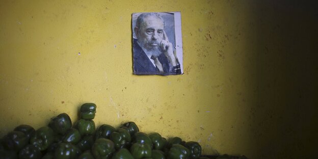 Ein Bild von Fidel Castro hängt an der Wand, am Bildrand sind grüne Paprikaschoten zu sehen Ein Bild von Fidel Castro hängt an der Wand, am Bildrand sind grüne Paprikaschoten zu sehen