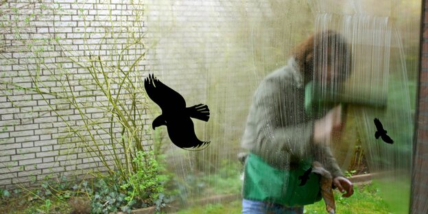 An einer Scheibe klebt ein Aufkleber in Vogelform. Eine Frau putzt drüber.