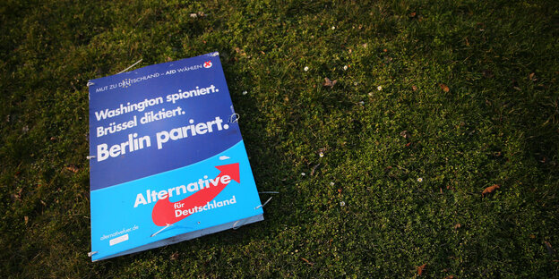 Ein Wahlplakat liegt auf einer Wiese Ein Wahlplakat liegt auf einer Wiese