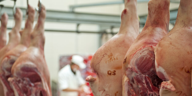 Schweinehälften, die an Metallhaken hängen Schweinehälften, die an Metallhaken hängen