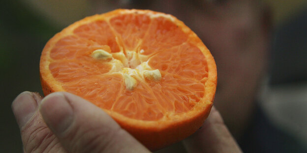 Halbe Orange Halbe Orange