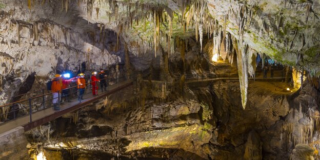 Besucher in der Höhle von Postojna Besucher in der Höhle von Postojna