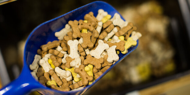 Schäufelchen mit Hundefutter Schäufelchen mit Hundefutter