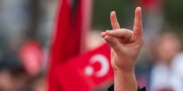 eine Hand, kleiner und Zeigefinger zeigen nach oben, die restlichen nach vorne, im Hintergrund eine türkische Fahne eine Hand, kleiner und Zeigefinger zeigen nach oben, die restlichen nach vorne, im Hintergrund eine türkische Fahne
