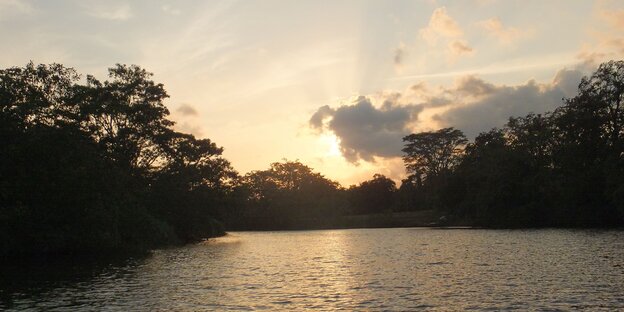 Eine Wasserfläche, Wald, Himmel, Wolken und Sonnenuntergang Eine Wasserfläche, Wald, Himmel, Wolken und Sonnenuntergang