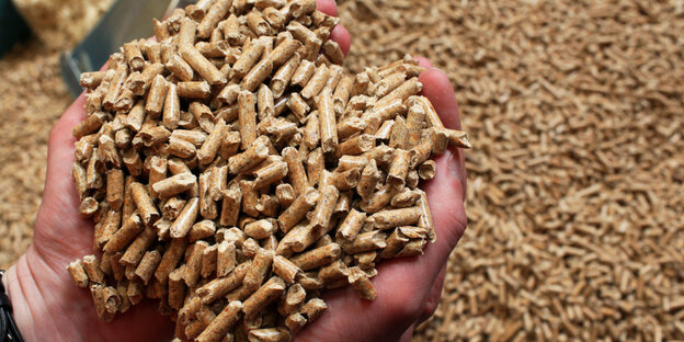 Ein German-Pellets-Mitarbeiter hält eine Hand voll Holzpellets in die Kamera. Ein German-Pellets-Mitarbeiter hält eine Hand voll Holzpellets in die Kamera.