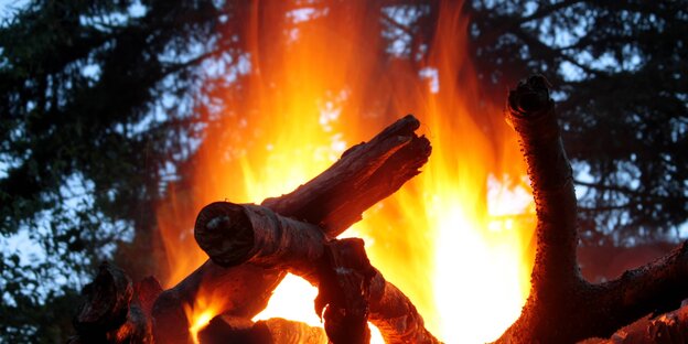 Ein Lagerfeuer im Wald