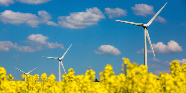 Zwei Windräder vor blauem Himmel mit wenig Wolken, im Vordergrund ein Rapsfeld. Zwei Windräder vor blauem Himmel mit wenig Wolken, im Vordergrund ein Rapsfeld.