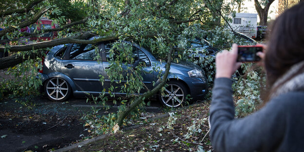 Eine Frau fotografiert ein Auto, auf das ein Baum gestürzt ist Eine Frau fotografiert ein Auto, auf das ein Baum gestürzt ist