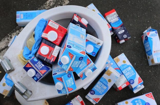 Toilette voller Milch Toilette voller Milch