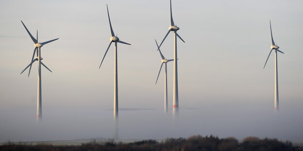 Windräder ragen aus einem Wald im Nebel heraus.