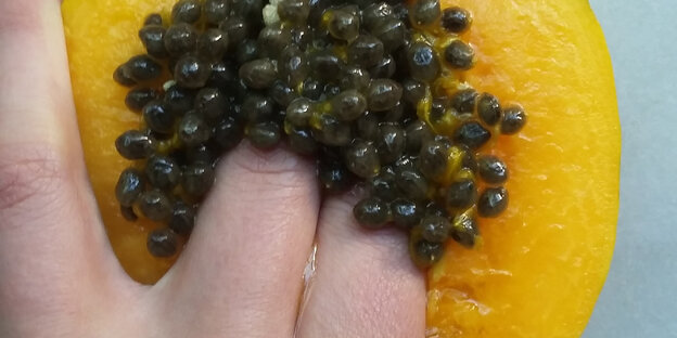 zwei Finger graben sich in eine Frucht zwei Finger graben sich in eine Frucht