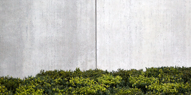 Eine grüne Hecke ist vor einer grauen Betonmauer Eine grüne Hecke ist vor einer grauen Betonmauer