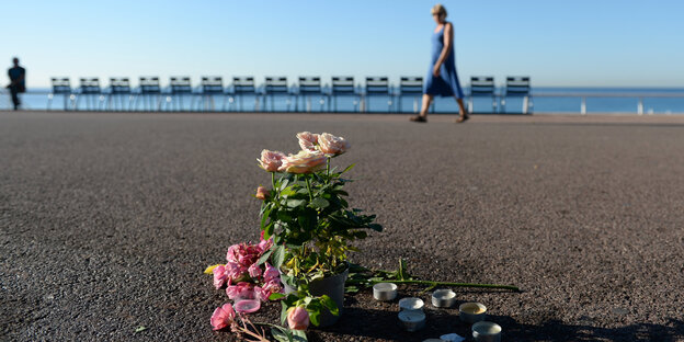 Blumen am Strand von Nizza Blumen am Strand von Nizza