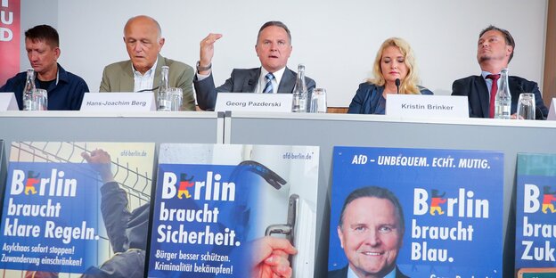 AfD-Pressekonferenz