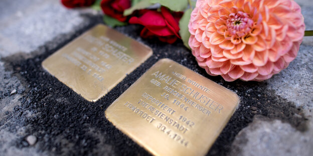 Zwei goldfarbene Steine im Bodenpflaster. Auf einem kann man den Namen Amalie Schuster erkennen. Daneben liegt ein Blume Zwei goldfarbene Steine im Bodenpflaster. Auf einem kann man den Namen Amalie Schuster erkennen. Daneben liegt ein Blume