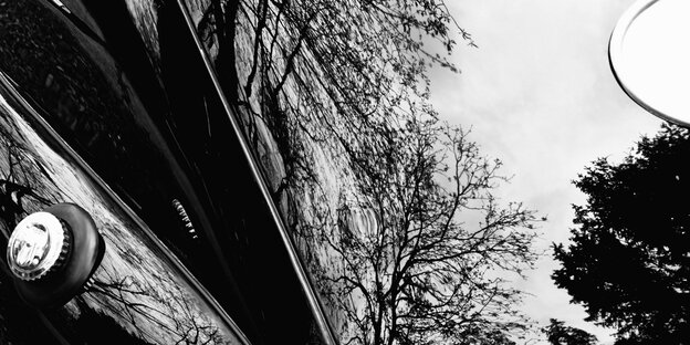 In Autolack gespiegelte Äste In Autolack gespiegelte Äste