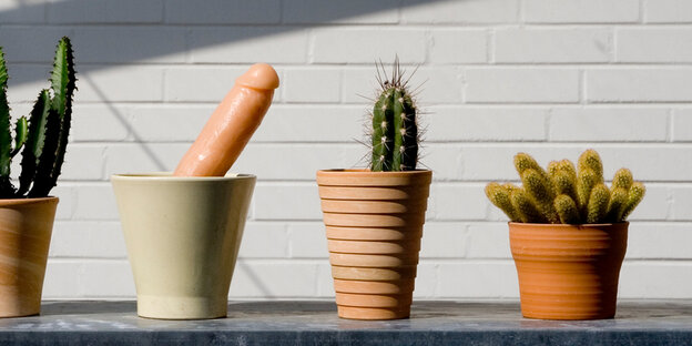 Ein Dildo in einem Pflanzentopf zwischen mehreren eingetopften Kakteen Ein Dildo in einem Pflanzentopf zwischen mehreren eingetopften Kakteen