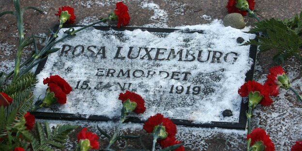 Rote Nelken liegen um den Grabstein von Rosa Luxemburg Rote Nelken liegen um den Grabstein von Rosa Luxemburg