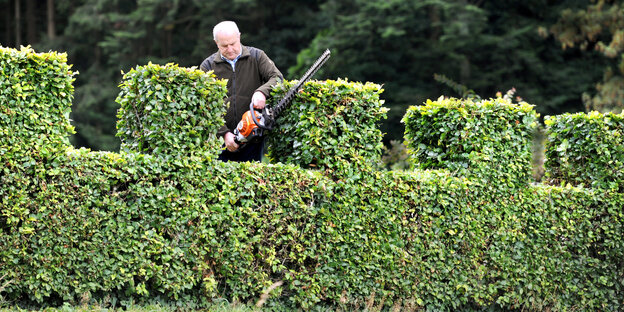 Ein Mann schneidet eine Hecke Ein Mann schneidet eine Hecke