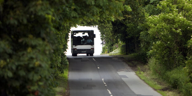 Bus fährt durch eine Allee Bus fährt durch eine Allee
