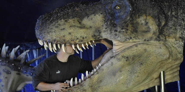 Dinosauerierkopf in einer Ausstellung Dinosauerierkopf in einer Ausstellung