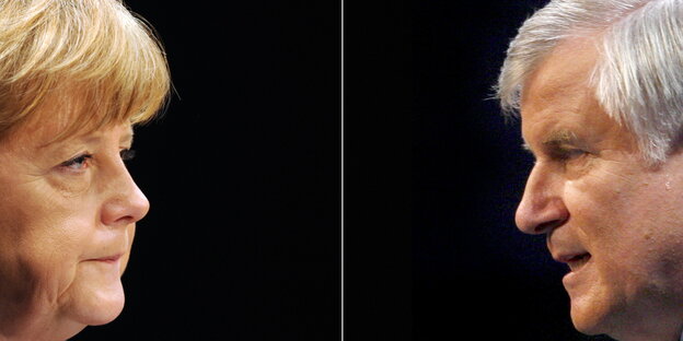 Doppelporträt Merkel und Seehofer Doppelporträt Merkel und Seehofer
