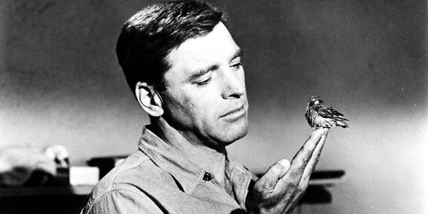 Ein Mann hält einen Vogel auf der Hand Ein Mann hält einen Vogel auf der Hand
