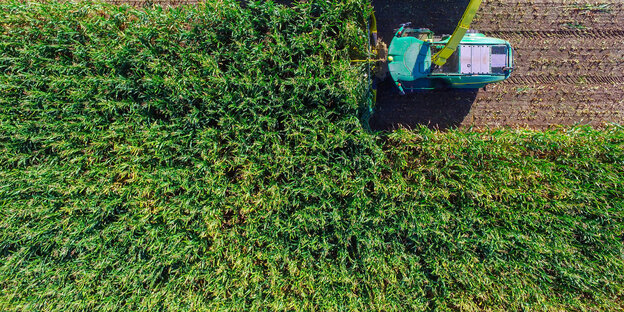 Ein Tracktor erntet Mais Ein Tracktor erntet Mais