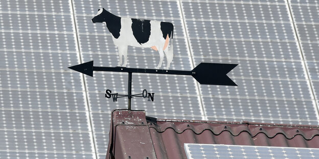 Auf einem Dach ist ein Windrad mit Kuh, im Hintergrund ein anderes Dach mit Solarzellen Auf einem Dach ist ein Windrad mit Kuh, im Hintergrund ein anderes Dach mit Solarzellen