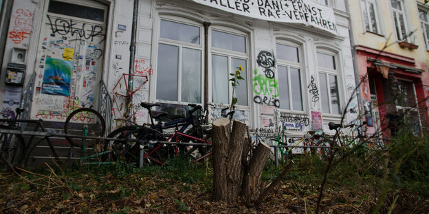 Baumstümpfe vor den Hafenstraßen-Häusern Baumstümpfe vor den Hafenstraßen-Häusern