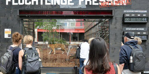 Menschen blicke auf einen Tiger hinter Glas Menschen blicke auf einen Tiger hinter Glas
