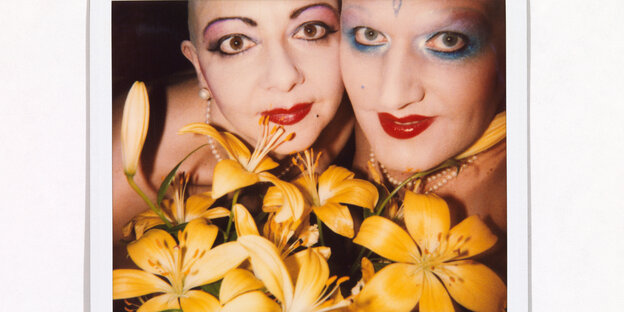 Eva & Adele blicken über gelben Blumen hervor Eva & Adele blicken über gelben Blumen hervor