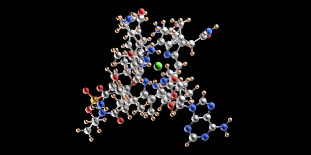 Ein Computermodell des B-12-Vitamin-Molueküls Ein Computermodell des B-12-Vitamin-Molueküls