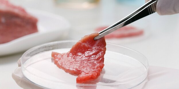 Fleisch in der Petrischale Fleisch in der Petrischale