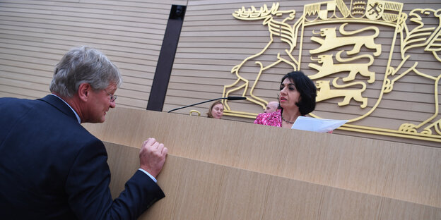 Jörg Meuthen im Landtag