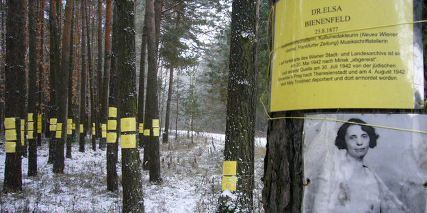 Ein Wald, auf den Bäumen Fotografien und Texte, die an die Ermordeten erinnern Ein Wald, auf den Bäumen Fotografien und Texte, die an die Ermordeten erinnern