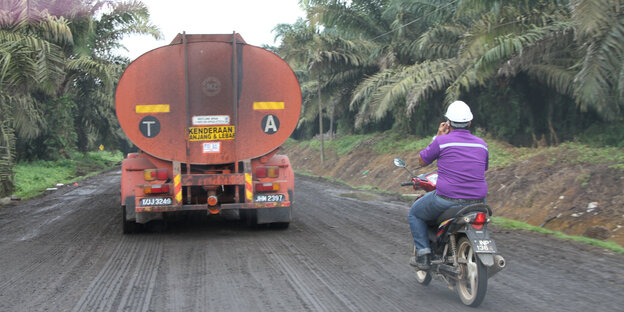 LKW fährt durch Palmölplantage in Malaysia LKW fährt durch Palmölplantage in Malaysia